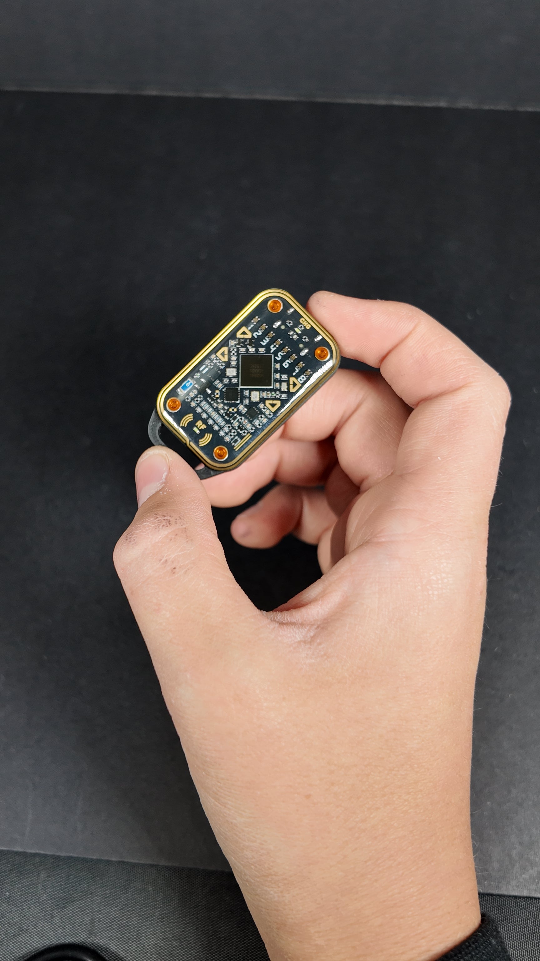 Chameleon Ultra 2  With Extended Antenna